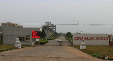 Dasheng factory area