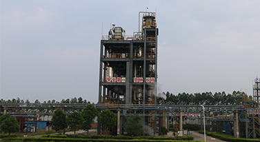 Dasheng factory area2
